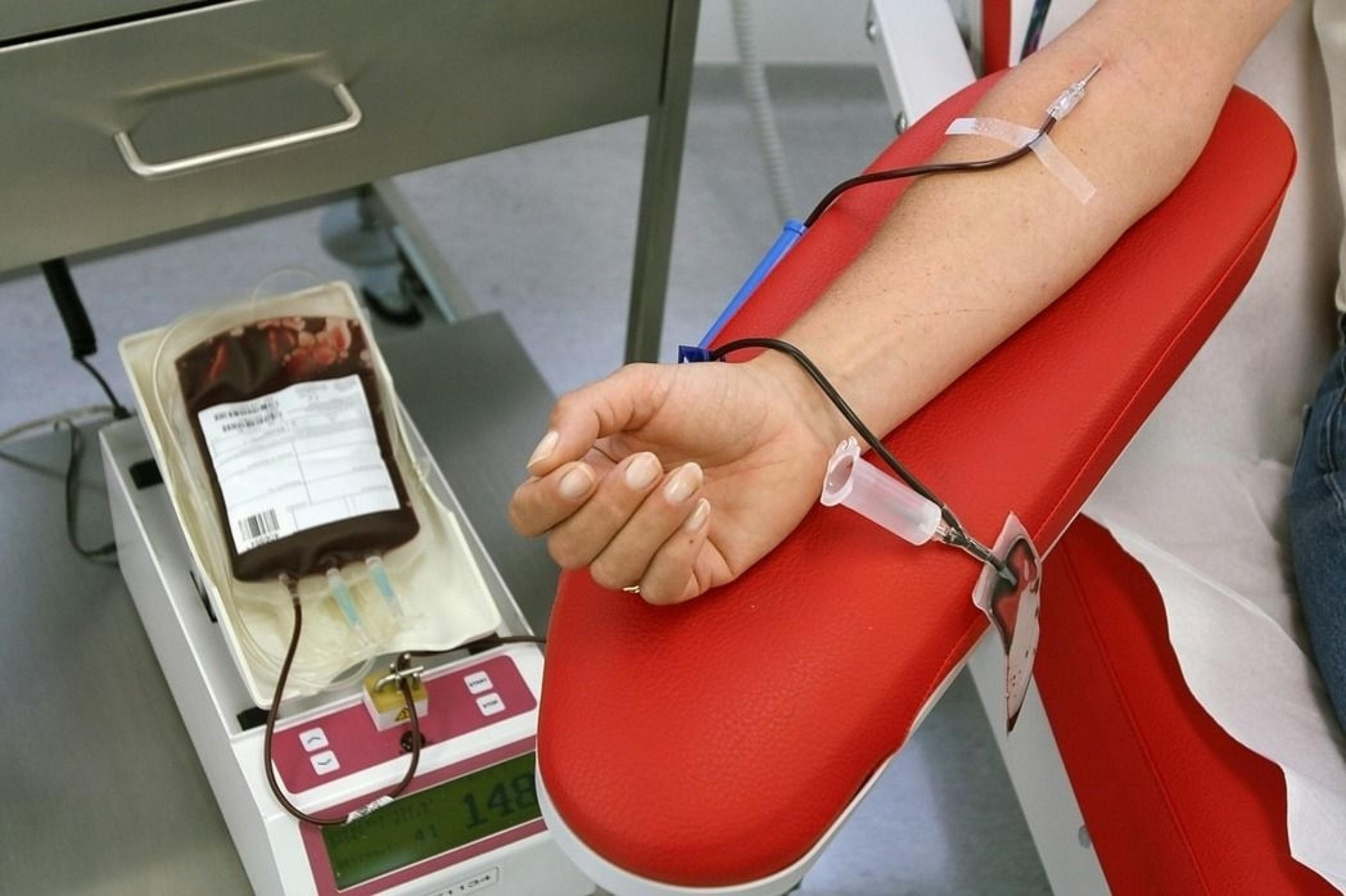 献血照片图片