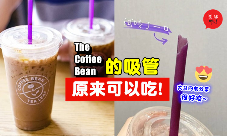 Coffee bean straw edible