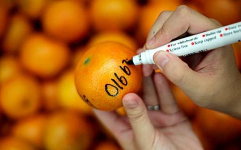 觅良缘!正月十五元宵节🍊女抛柑,男捞柑!附上必注意的重要事项~