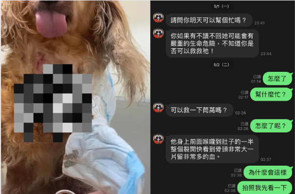 xiao-tian-tian-suspected-abuse-dog