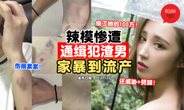 cai-ying-wen-domestic-violence-ex-bf