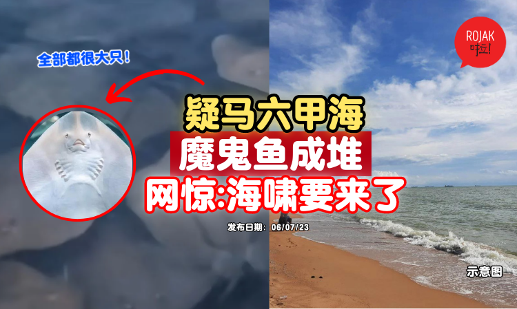 sea-devil-rays-tsunami