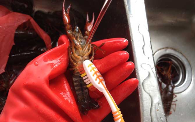 crayfish-sting-finger-black-dead