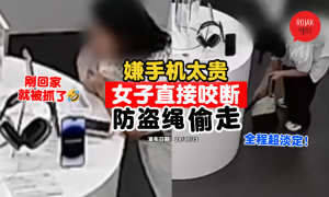phone-too-expensive-bite-anti-theft-wire