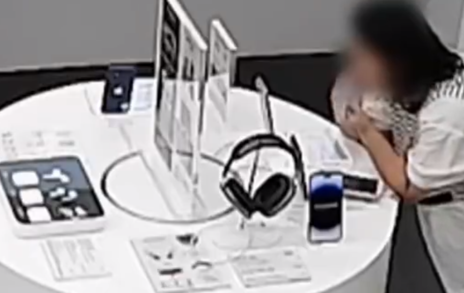 phone-too-expensive-bite-anti-theft-wire