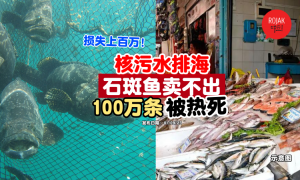 korea-shi-ban-yu-dead-nuclear-sewage