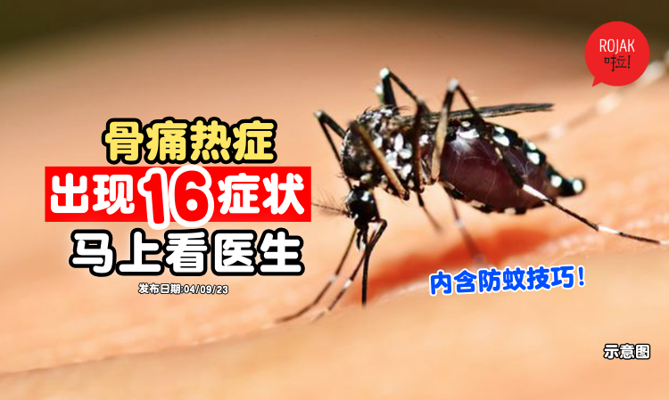 most-common-symptom-of-dengue