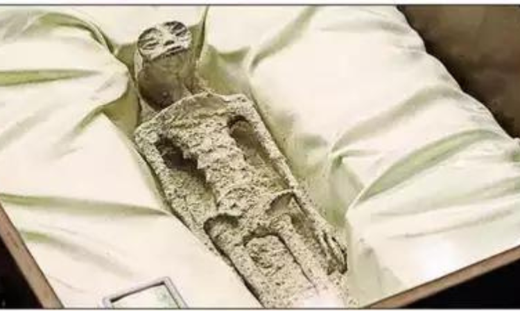Mexico-showed-1000-year-Alien-bodies