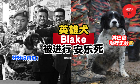 blake-search-and-rescue-dog-dead