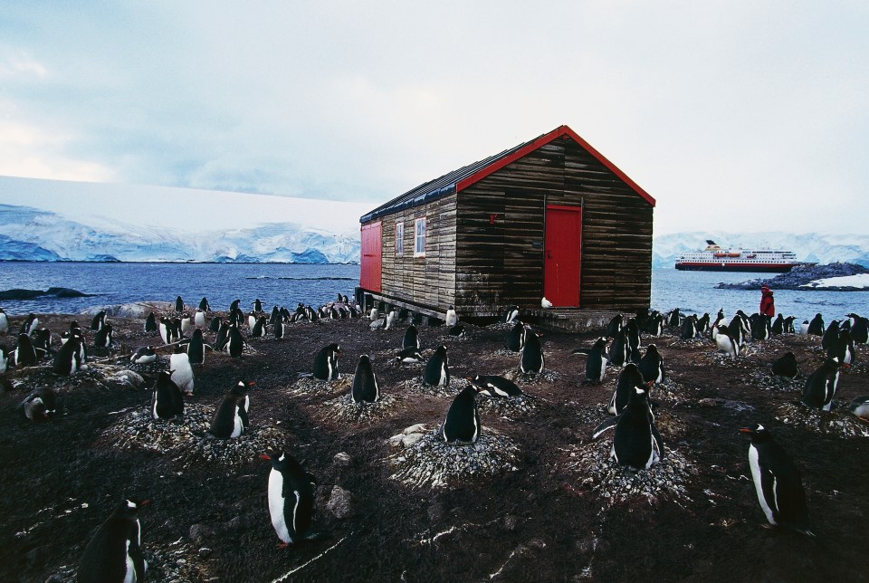 penguins-post-office-job-hiring