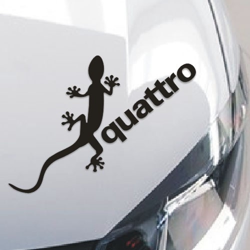 car-backside-lizard-sticker-meaning