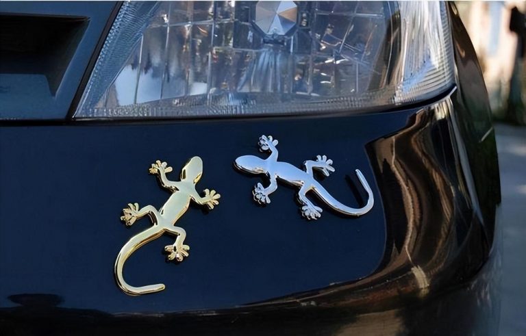 car-backside-lizard-sticker-meaning