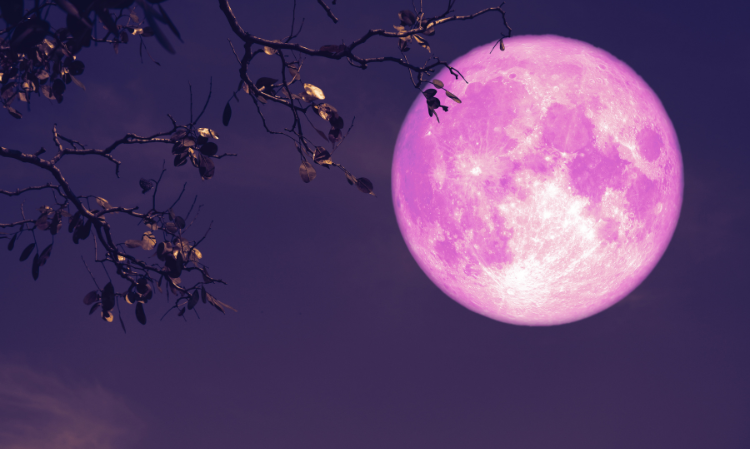 0424-pink-moon