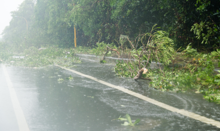malaysia-hot-weather-reason