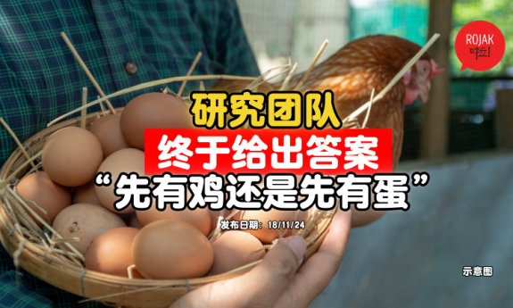 egg-or-chicken-come-first