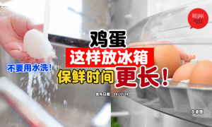 egg-no-need-to-wash-shel