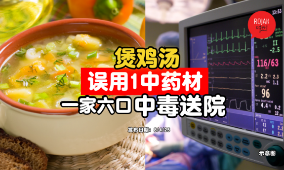 chicken-soup-Graceful-Jesamine