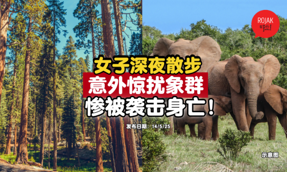 woman-attacked-by-elephants-dead
