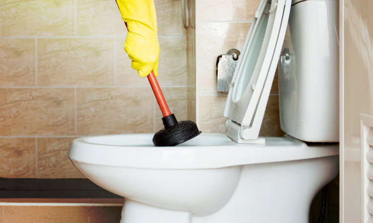 Cockroach-dont-flush-toilet