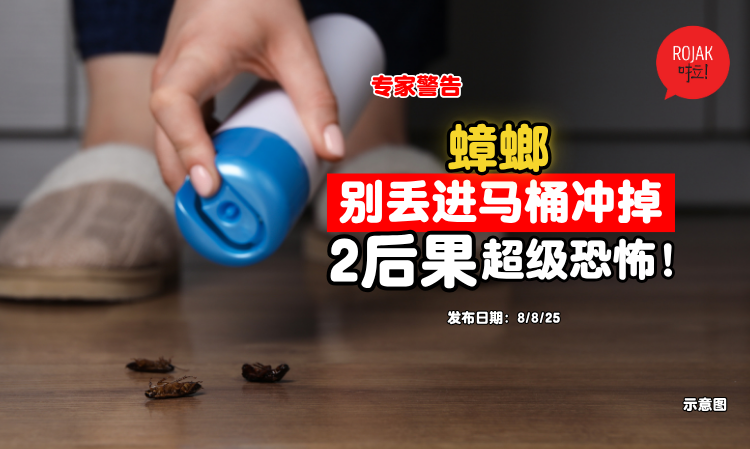 Cockroach-dont-flush-toilet