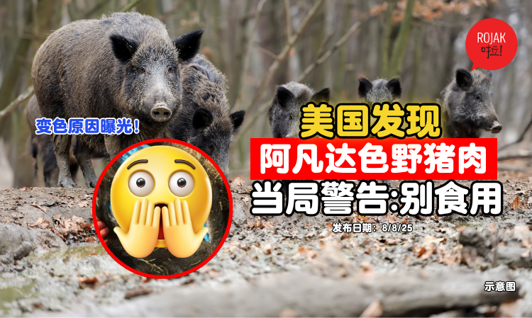 wild-boar-muscle-turned-neon-blue