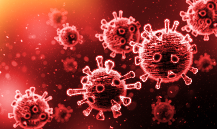 taiwan-echovirus-baby-infected