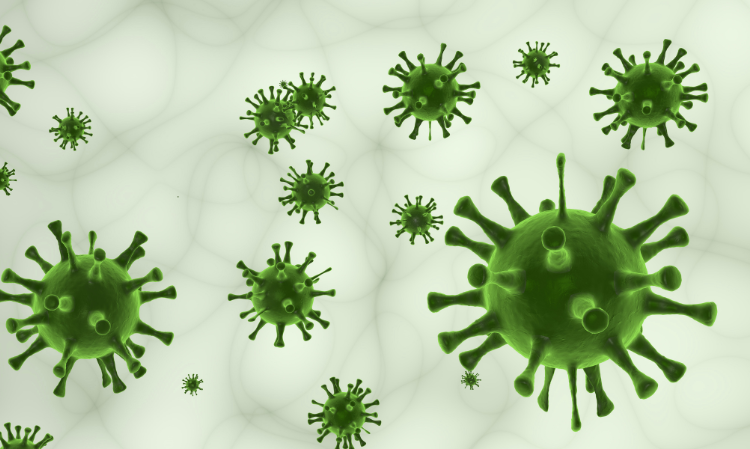 taiwan-echovirus-baby-infected
