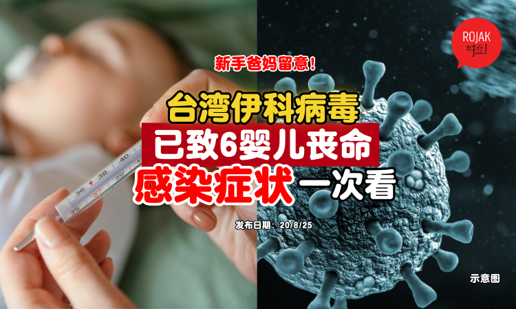 taiwan-echovirus-baby-infected