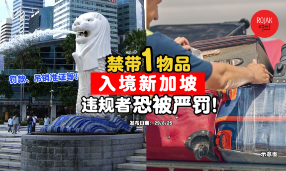 visit-Singapore-custom-not-allow-to-bring-1item
