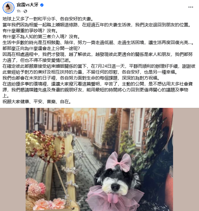 taiwan-artist-DaYa-divorce