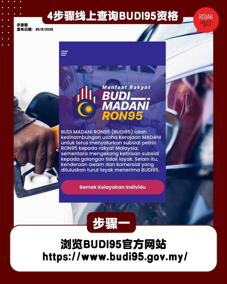 how-to-check-budi95-through-online