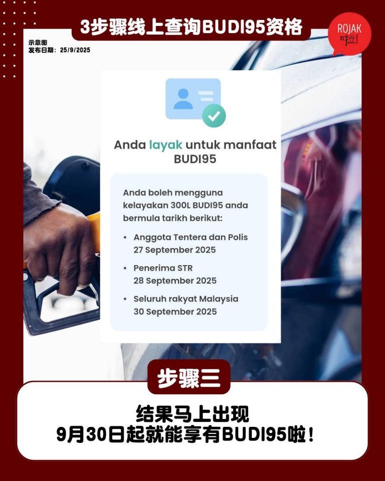 how-to-check-budi95-through-online