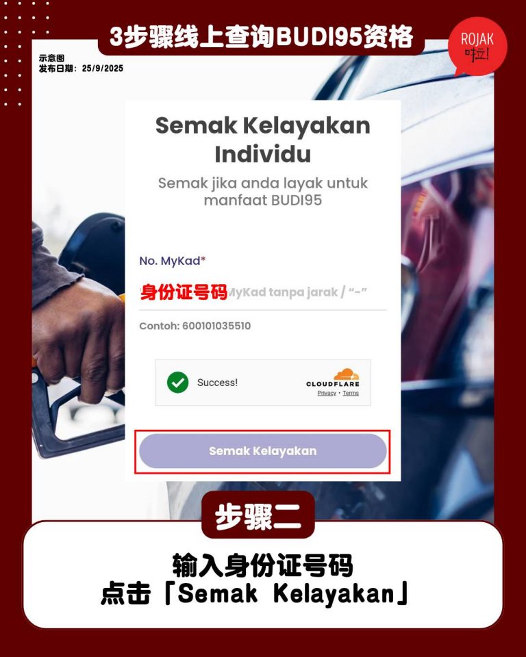how-to-check-budi95-through-online