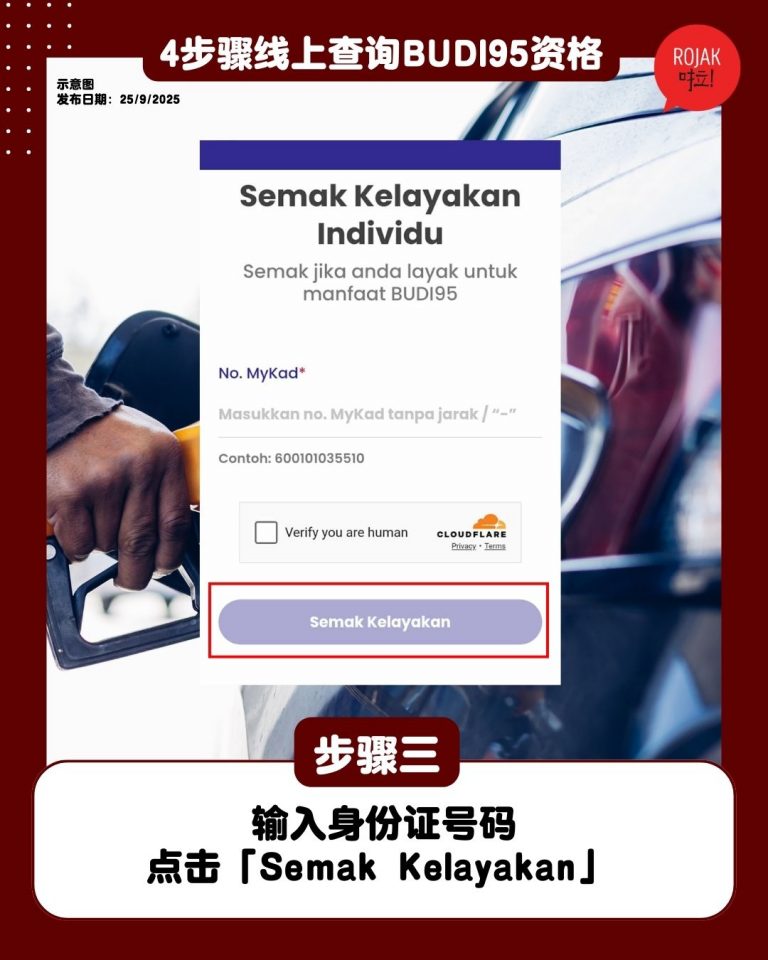 how-to-check-budi95-through-online