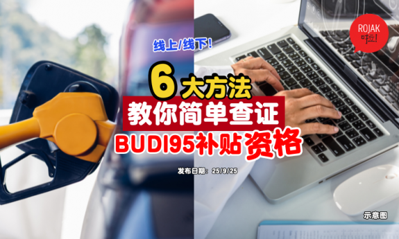 how-to-check-budi95-through-online