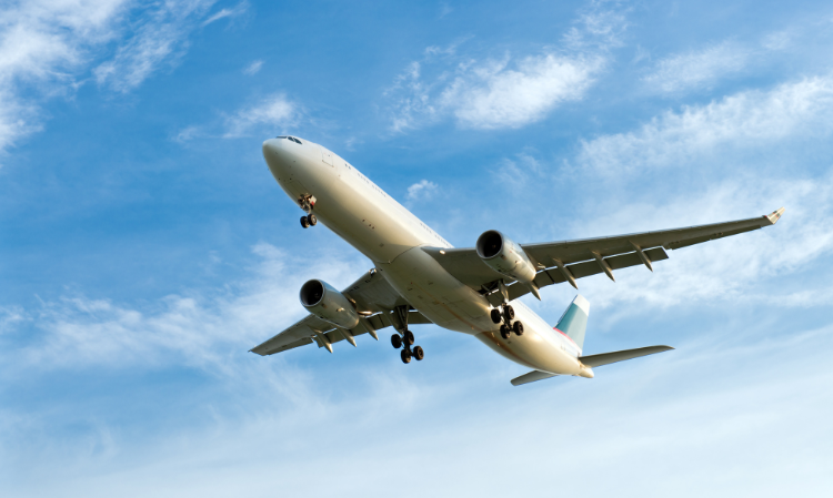 flight-passengers-destroy-passport
