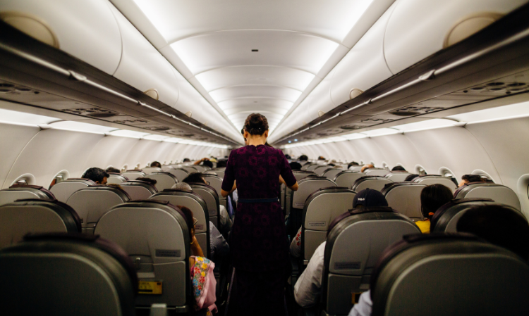 flight-passengers-destroy-passport