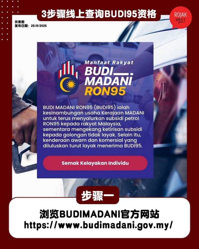 how-to-check-budi95-through-online
