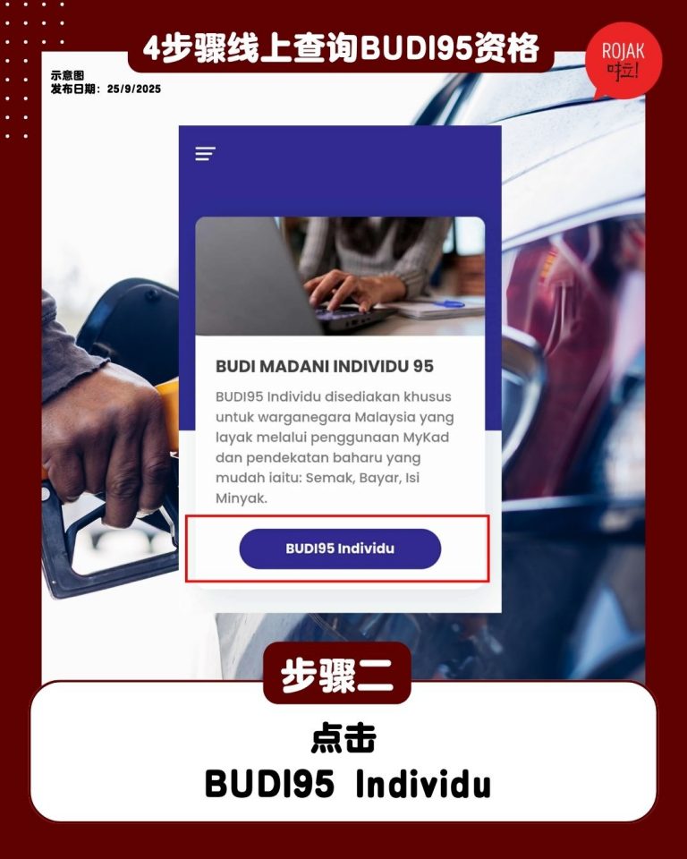 how-to-check-budi95-through-online