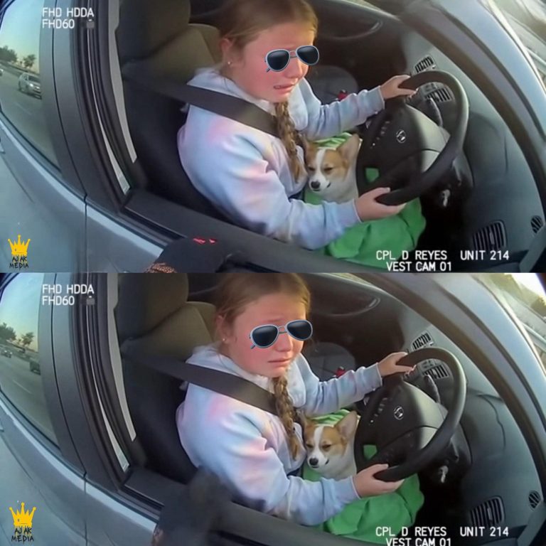 small-girl-drive-just-to-save-her-pet-