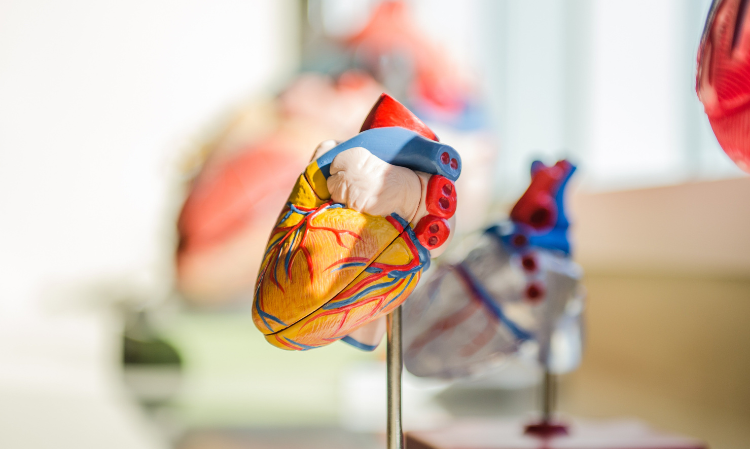 Heart-failure-symptoms