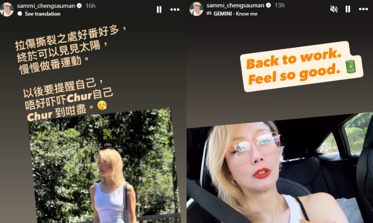 SammiCheng-disappeared-reason-injured