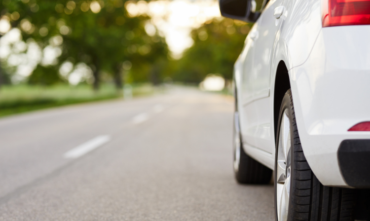small-girl-drive-just-to-save-her-pet-