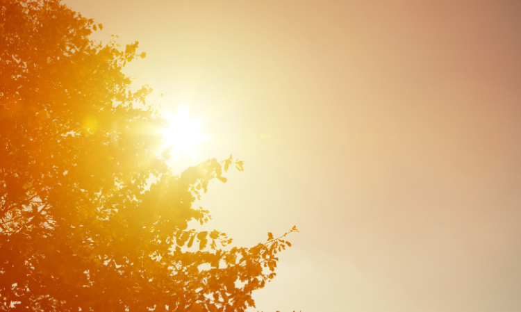 kid-left-inside-car-heatstroke-