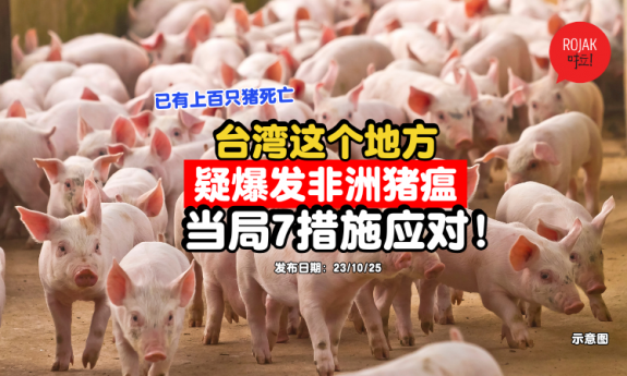 taiwan-classical-swine-fever