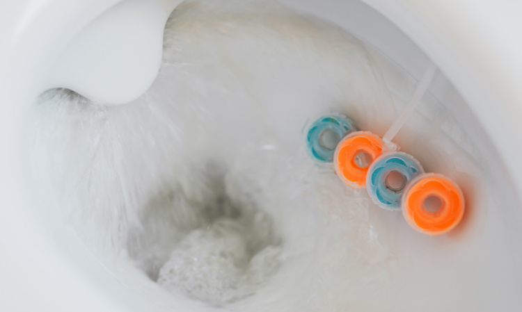 toilet-4-things-might-affect-health
