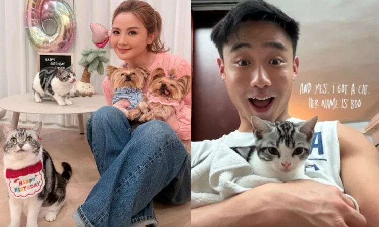 CharleneChoi-new-boyfriend-rumours