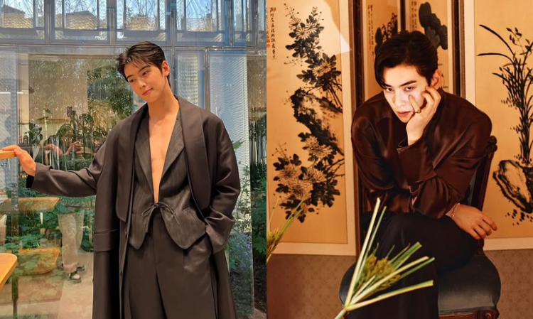 chaeunwoo-brother-handsome