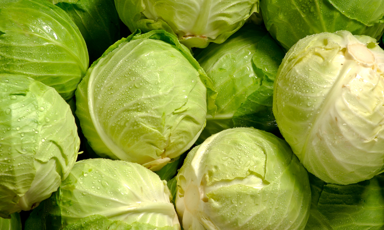 cabbage-spoiled-symptoms