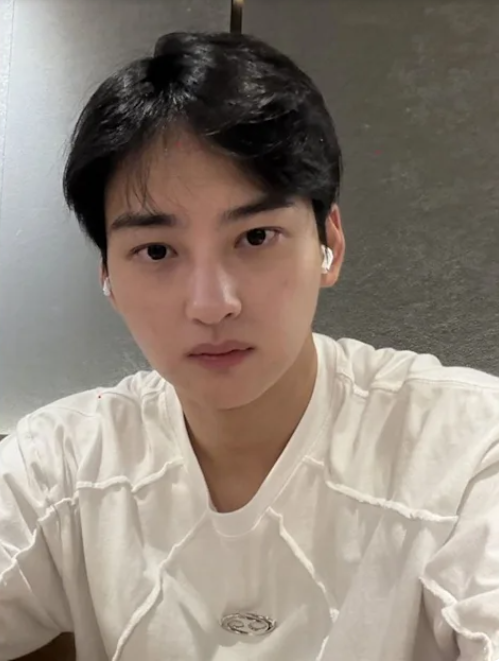 chaeunwoo-brother-handsome